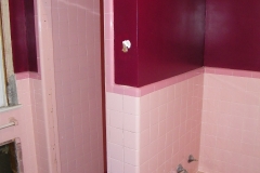 Pink Tile Shower Stall
