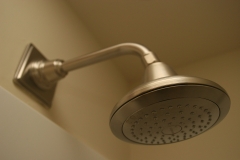 shower head